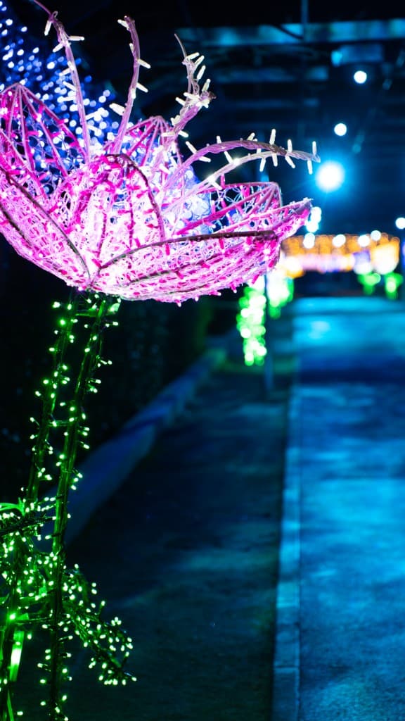Decoración navideña iluminada en exteriores