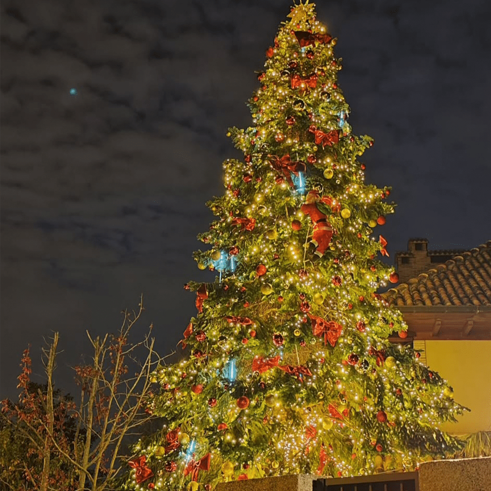 EVENTOS DE NAVIDAD PARA EMPRESAS