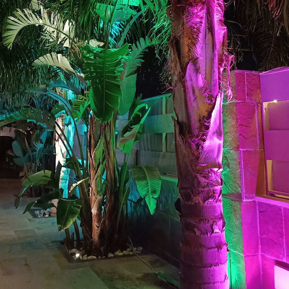 EVENTOS DE NAVIDAD PARA EMPRESAS