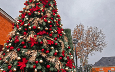 COMO ELEGIR EL ARBOL DE NAVIDAD MAS ADECUADO PARA TU EMPRESA